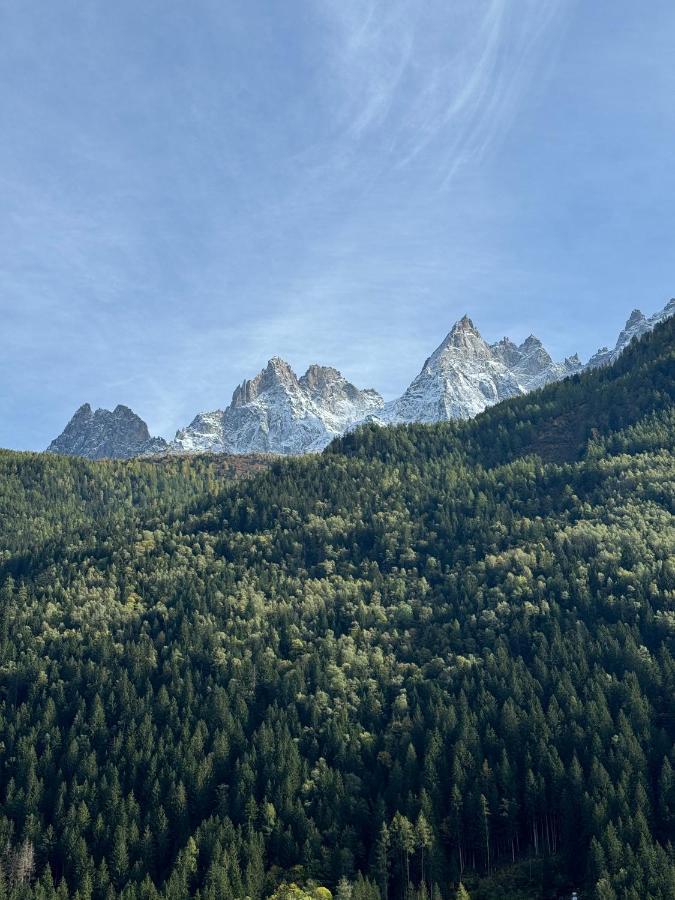 Cocon Au Coeur De Chamonix Avec Parking Gratuit Apartment Bagian luar foto